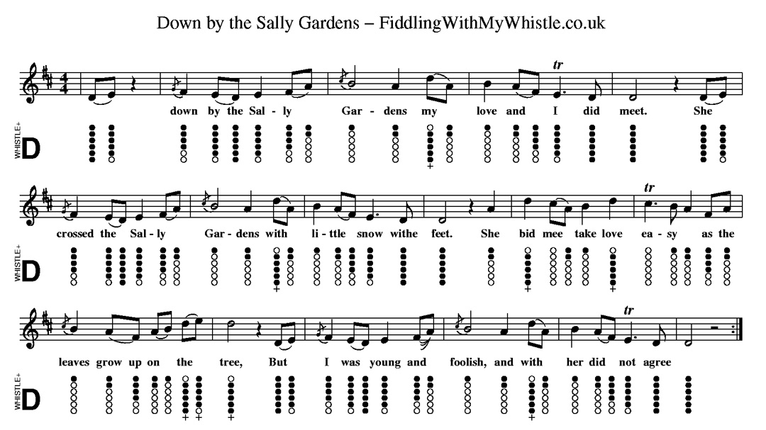 Down By The Sally Gardens Folk Song Tin Whistle Tab Tutorial
