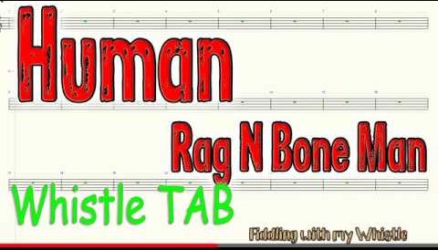 Human – Rag N Bone Man – Tin Whistle – Play Along Tab Tutorial
