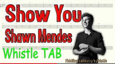 Show You – Shawn Mendes – Tin Whistle – Play Along Tab Tutorial