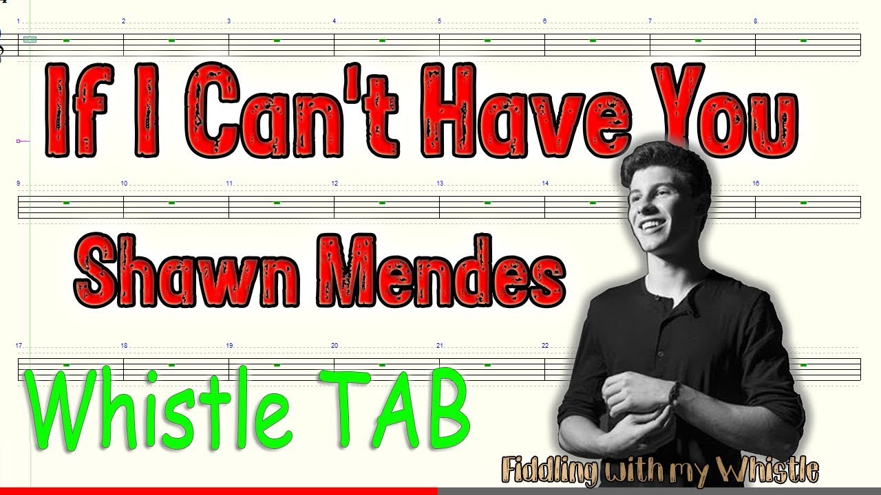 If I Can’t Have You – Shawn Mendes – Tin Whistle – Play Along Tab Tutorial